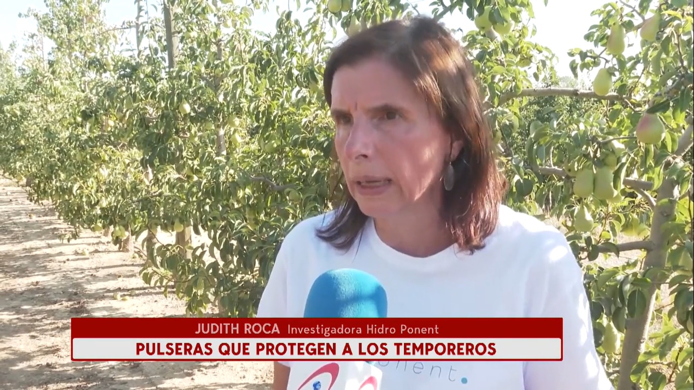Sin título1